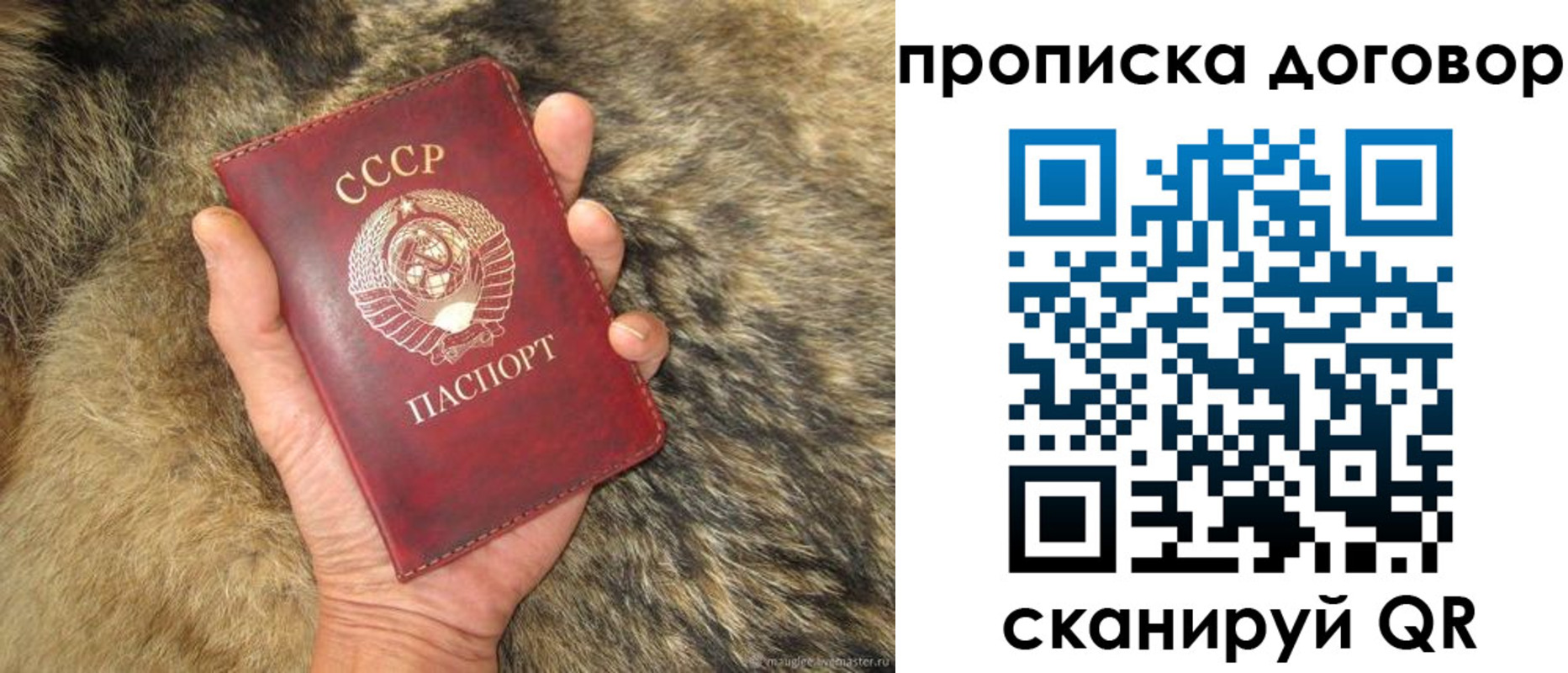 прописка регистрация в Отрадном